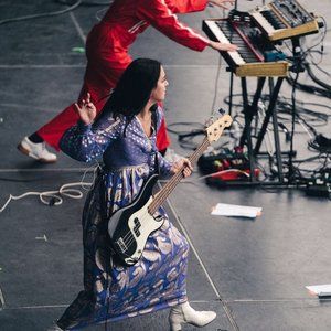 Vintage Purple and Gold Paisley Print Dress